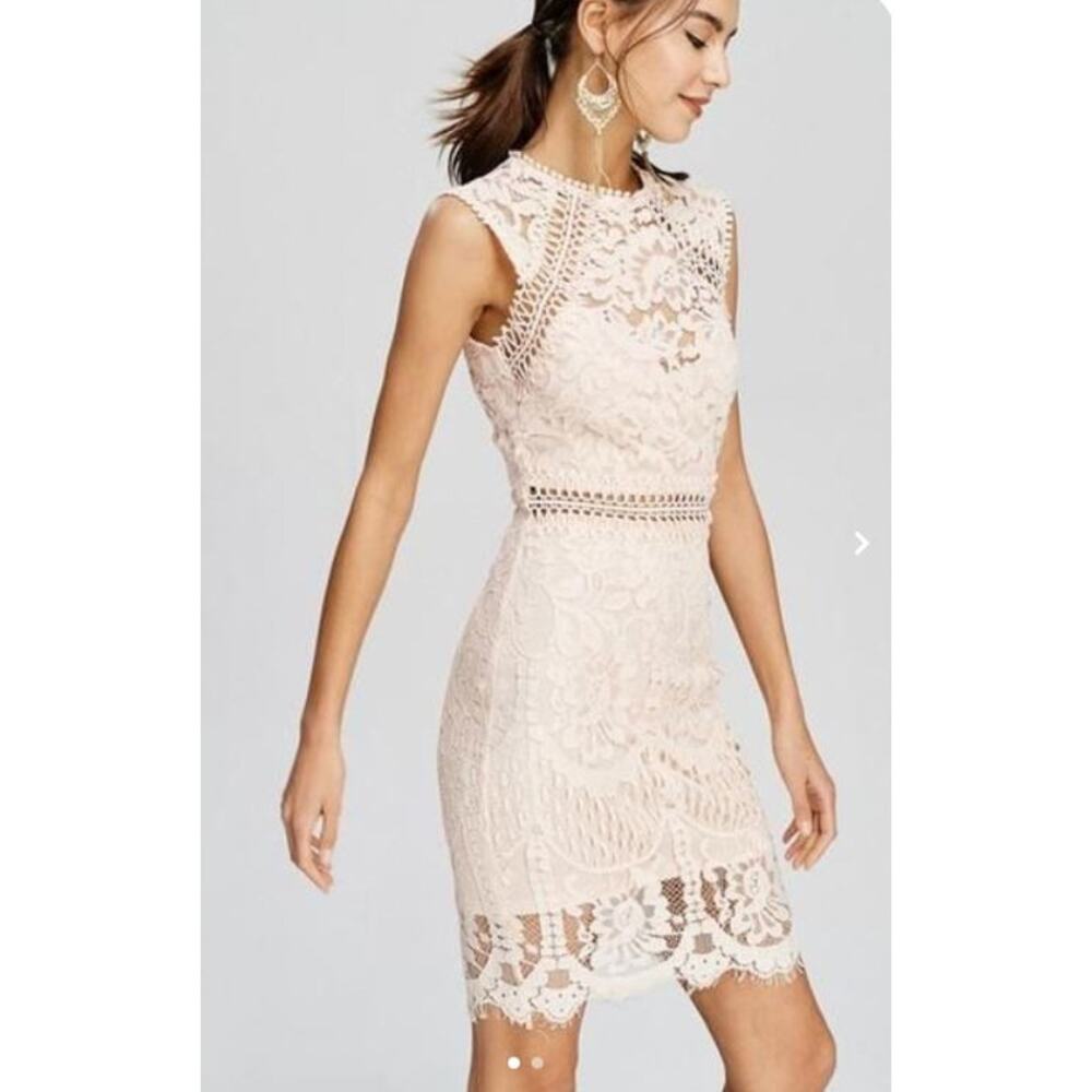 Main Strip Sleeveless Crochet Lace Knee Length Dress Nude Womens Size Medium - Picture 2 of 10